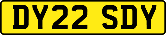 DY22SDY