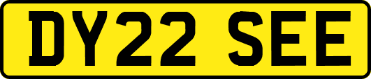 DY22SEE