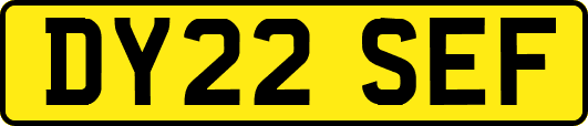 DY22SEF