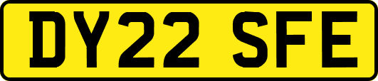 DY22SFE