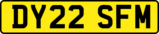 DY22SFM