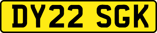 DY22SGK