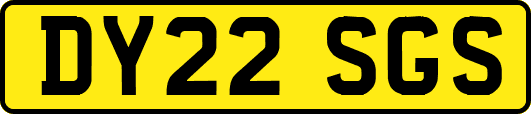 DY22SGS