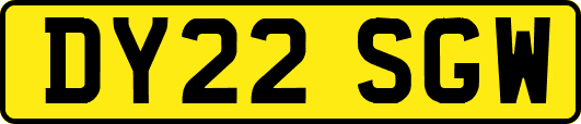 DY22SGW