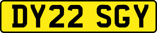 DY22SGY