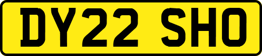 DY22SHO
