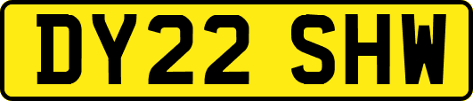 DY22SHW