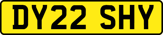 DY22SHY