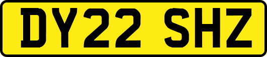 DY22SHZ