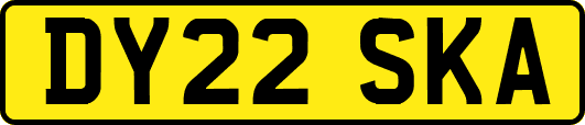 DY22SKA