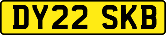 DY22SKB