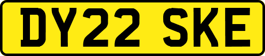 DY22SKE