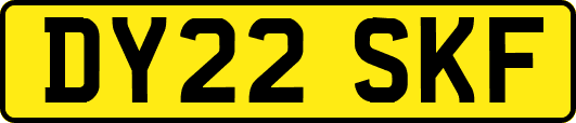 DY22SKF