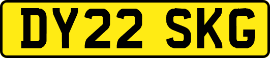 DY22SKG