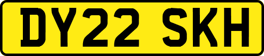 DY22SKH