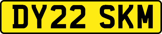 DY22SKM
