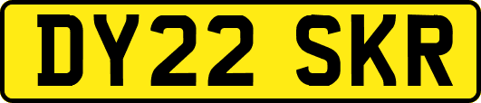 DY22SKR