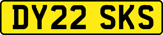 DY22SKS