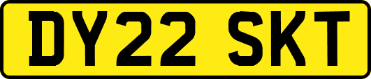 DY22SKT