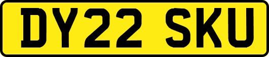 DY22SKU