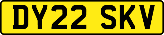 DY22SKV