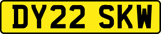 DY22SKW