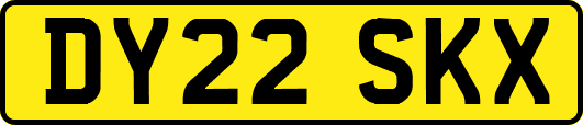 DY22SKX
