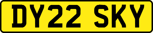 DY22SKY