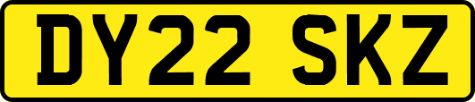 DY22SKZ
