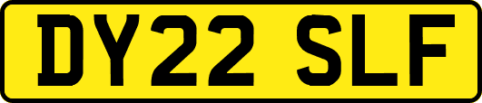 DY22SLF