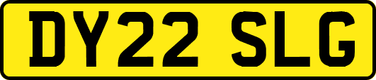 DY22SLG