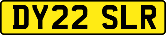 DY22SLR