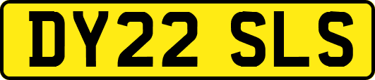 DY22SLS