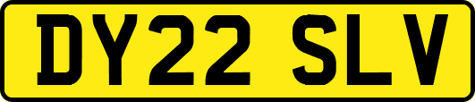 DY22SLV