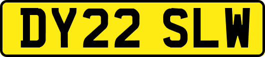 DY22SLW