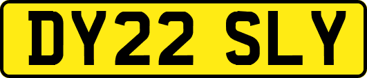 DY22SLY