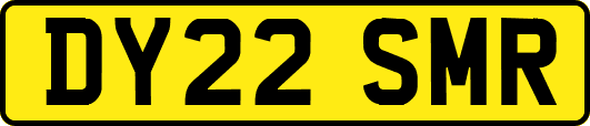 DY22SMR