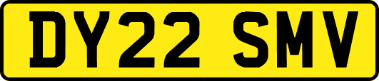 DY22SMV