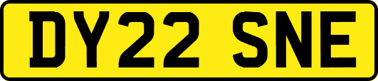 DY22SNE