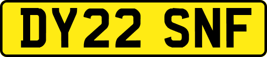 DY22SNF