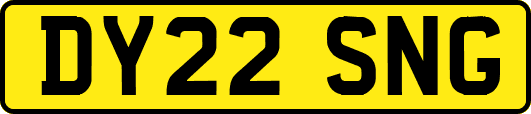 DY22SNG