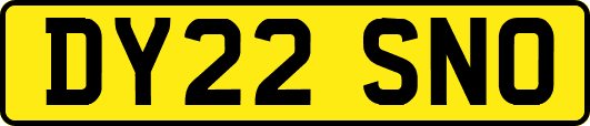 DY22SNO