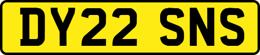 DY22SNS