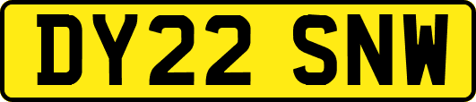 DY22SNW