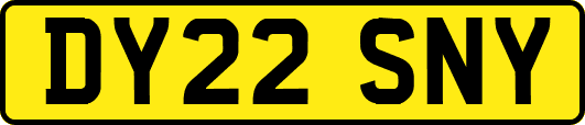 DY22SNY
