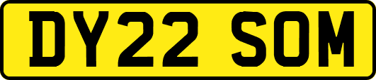 DY22SOM