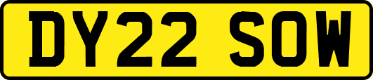 DY22SOW