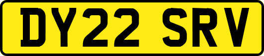 DY22SRV