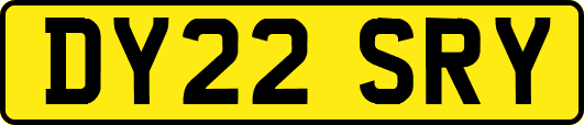 DY22SRY