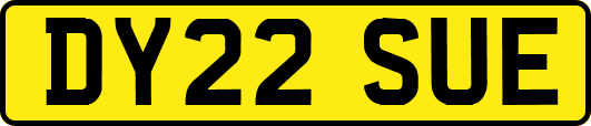 DY22SUE